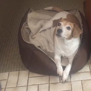 Meet your Posher, Madison